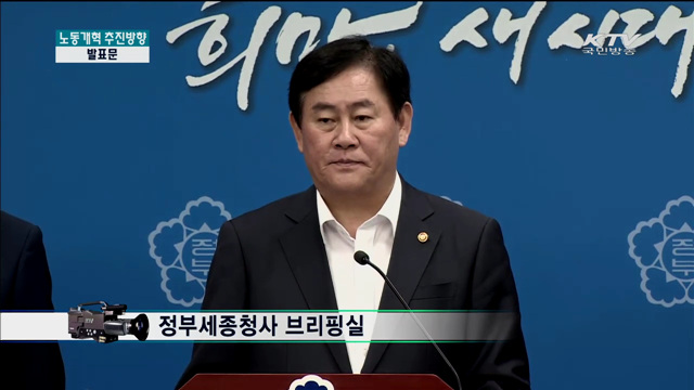 노동개혁 추진방향 향후계획