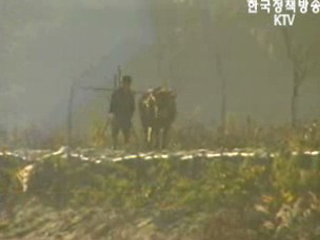 농촌 65세이상 30% 돌파 `초초고령사회`