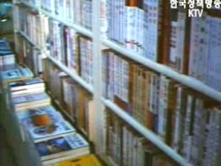 저작권법, 성과와 과제