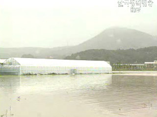 경기 북부 지역 비 피해 속출