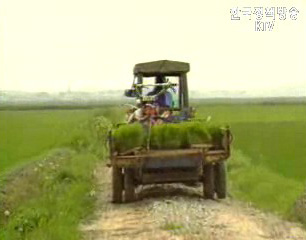 ‘농업 경영체 활성화’ 대책 마련