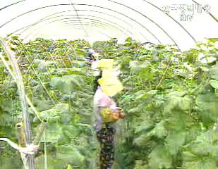 식품 원산지 표시품목 6년만에 확대