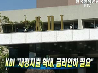 KDI "재정지출 확대, 금리인하 필요"