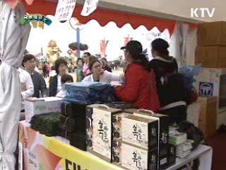 우리나라의 대표적인 지역축제