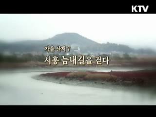 시흥 늠내길을 걷다 [대동문화도]