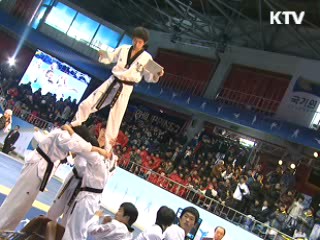 세계태권도 한마당 개막