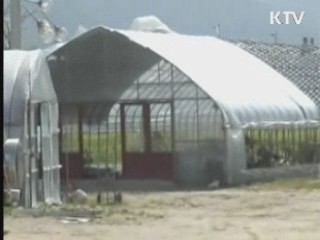 사과·배 등 재해보험금 776억원 지급