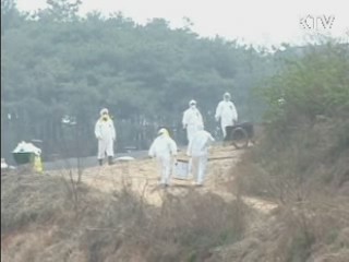 "가축 매몰지 지하수 오염 확인 안돼" 