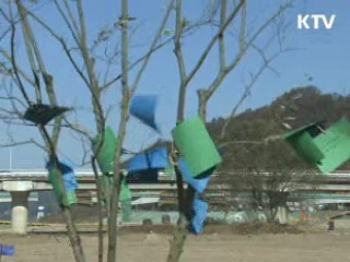 국민이 함께 4대강을 '희망의 숲'으로