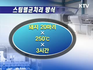 구제역 가축 비매몰 방식 처리 시범 도입