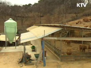 '검사검역본부' 신설, 상시 방역 구축