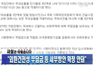 "외환건전성 부담금 등 세부방안 확정 안돼"