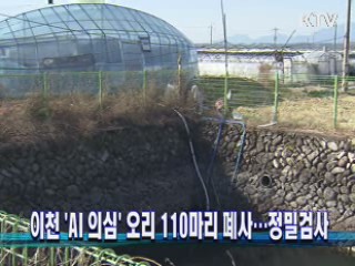 이천 'AI 의심' 오리 110마리 폐사···정밀검사 