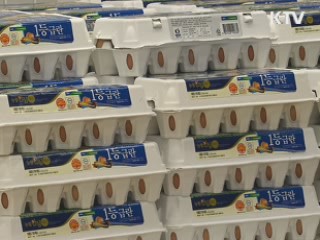 전국 대도시 농협마트·판매장 대거 신설