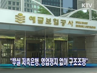 "부실 저축은행, 영업정지 없이 구조조정"