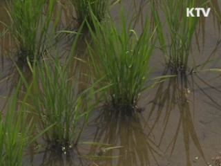 노후 저수지 보강···재해대비 예산 증액