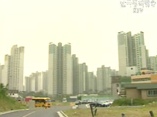 강남 대체 효과 기대