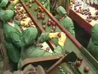 최대 시장 선점