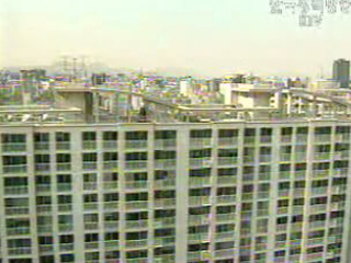 금융위기론, `과장`