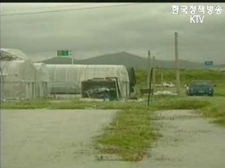 태풍 피해 복구 및 지원대책