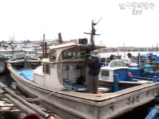 올 소형기선저인망어선 800척 정리