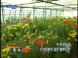 한국농업, 미개척분야 많은 블루오션