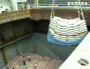 정부 비료 5만톤 28일부터 북송