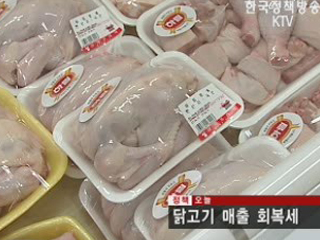 닭고기 매출 회복세