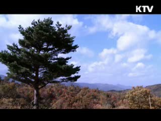 관동 800리 길의 시작 - 강원도 고성 [대동문화도]