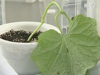 애완용에 환경정화까지, 곤충산업 '쑥쑥'