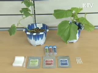 바이러스 진단키트로 농가피해 줄여