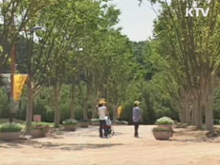 울산 태화강 '대숲 생태공원' 조성