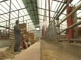 구제역 피해 농가 재산세 감면