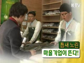 틈새 노린 마을기업이 뜬다! [정책9단 아줌마]