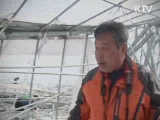 폭설 뒤에 내린 희망, 이정우