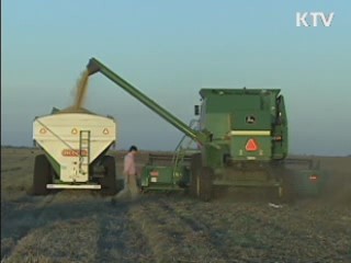 2015년까지 해외곡물 400만톤 확보 추진