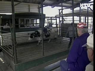 조사단 이틀째 활동···美 검역소 방문