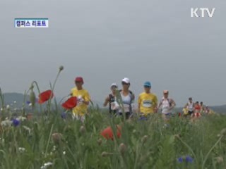 에코싱싱 함안 둑방마라투어