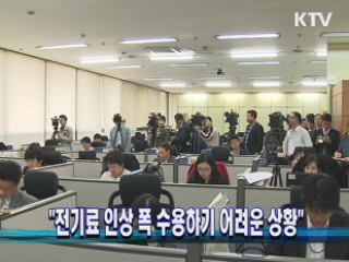 "전기료 인상 폭 수용하기 어려운 상황"