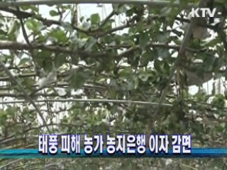 태풍 피해 농가 농지은행 이자 감면