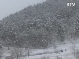 강원 태백준령 '눈꽃관광' 인기 절정 [시니어 리포트]
