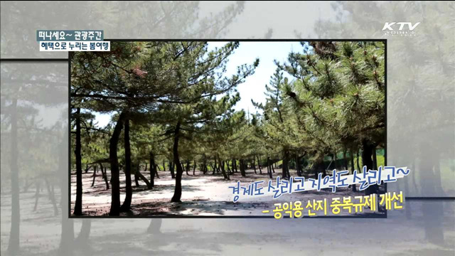 떠나세요 관광주간, 혜택으로 누리는 봄여행
