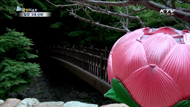 밀양 '3대 신비'…인증 사진 찍으세요