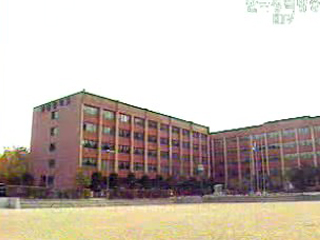 ‘지원조건 완화’ 검토