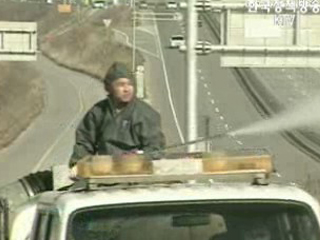 김제 AI 가금류 살처분작업 재개