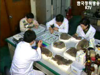 정부, `동북공정 연구물` 검토후 외교대응 방침