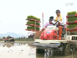 이 대통령, 모내기 현장 방문