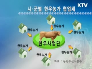 전국 시·군별 140개 '한우사업단' 육성