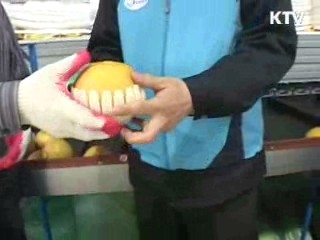 수확 후 농산물 품질은 우리 손안에 [정책, 현장을 가다]