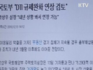 DTI 규제완화 연장 검토 안해